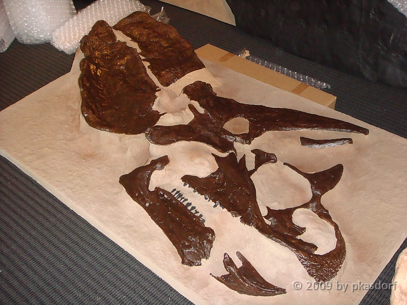 008 Cranbrook Institute of Science [2008 Jan 02].JPG